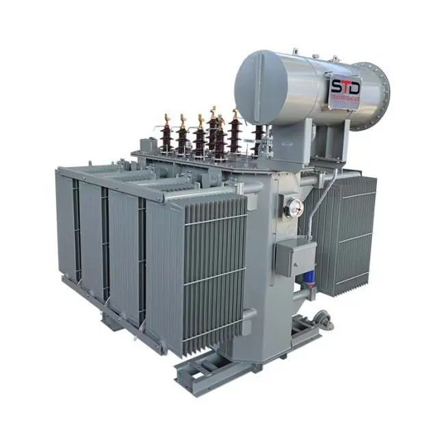 What Is an Oil-immersed Transformer?